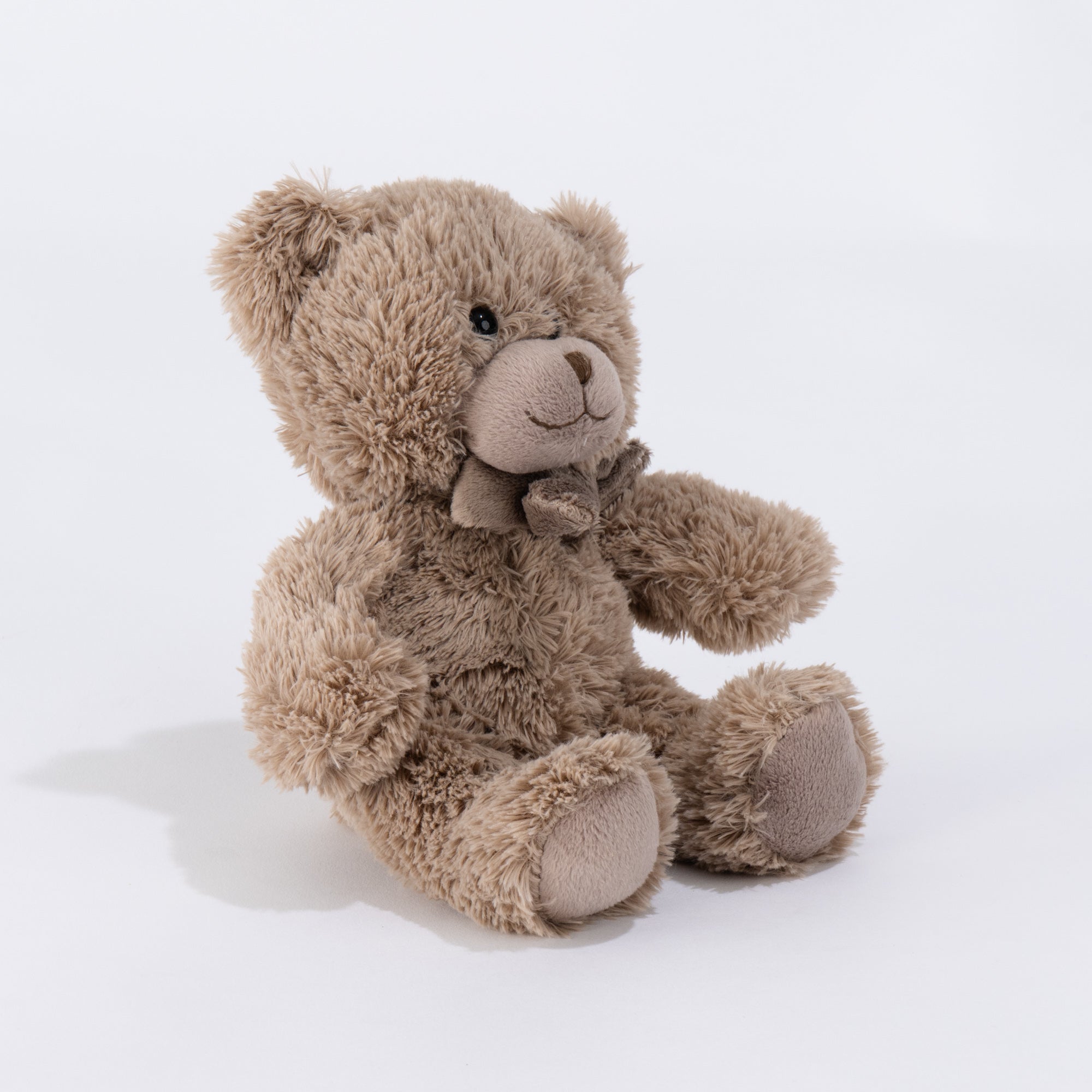 Teddi the Teddy