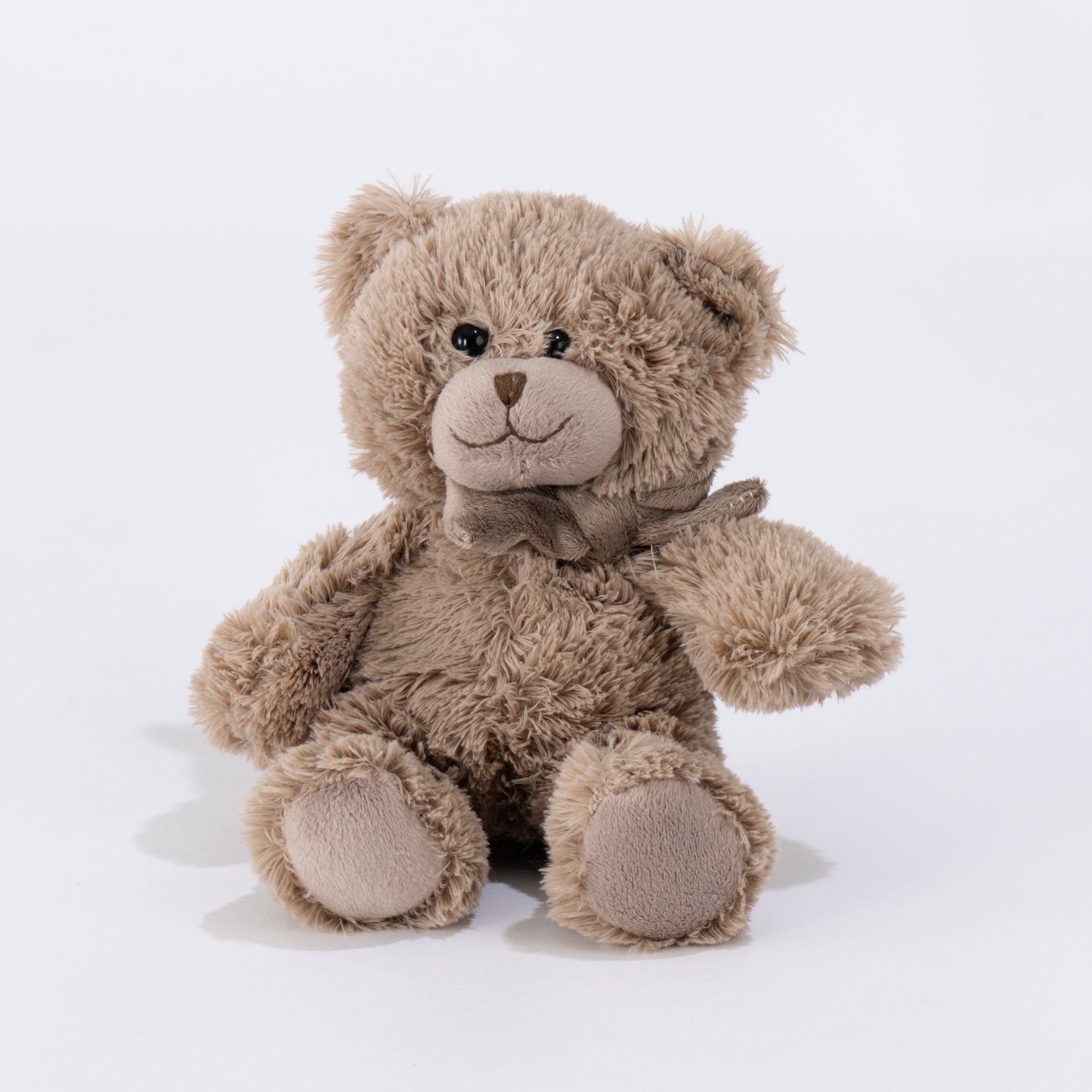 Teddi the Teddy